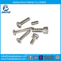 Stock Stainless Steel Self Tapping Screw (DIN7981)